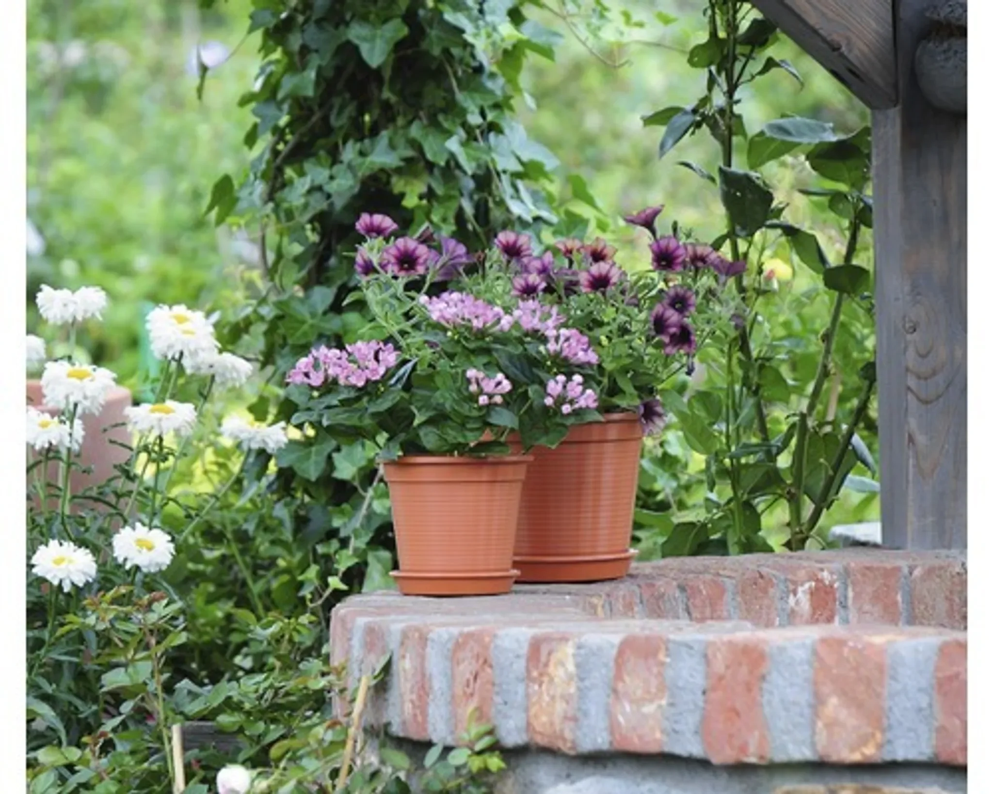 Geli Blumentopf STANDARD – Ø 10 cm, Terracotta (Kunststoff)